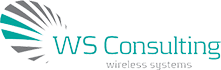 WS Consulting